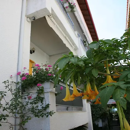 Alexandra Appartement *